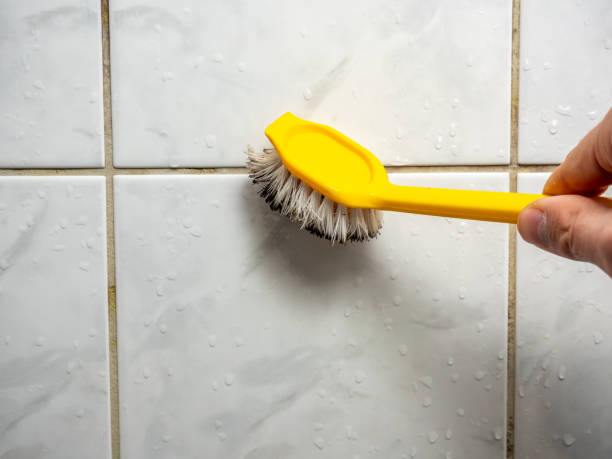 Best Affordable Mold Removal  in Buckhall, VA
