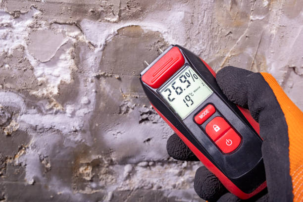 Best Mold Damage Repair  in Buckhall, VA