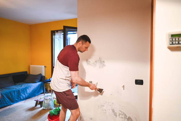 Best Home Mold Removal  in Buckhall, VA