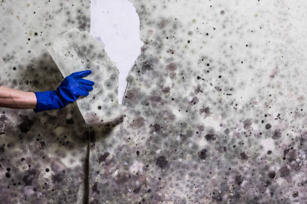Water Damage Restoration in Buckhall, VA